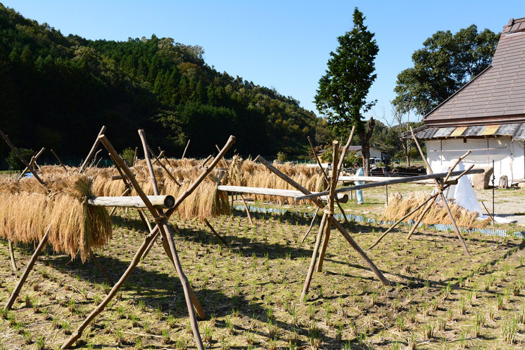 足踏み脱穀 能勢再生古民家 懐かしさの杜 なつかしさのもり